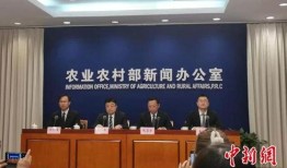 最新偷鱼爆料事件新闻发布会,新闻发布会揭露惊人内幕